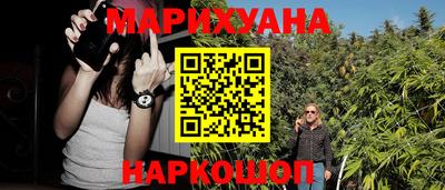 прущие грибы Кингисепп