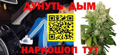 прущие грибы Кингисепп