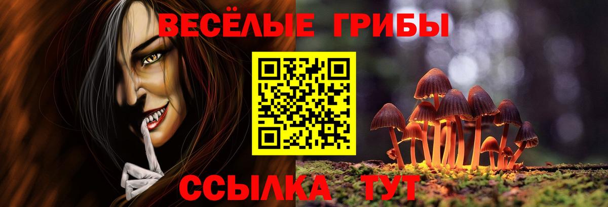 Псилоцибиновые грибы Cubensis Элиста