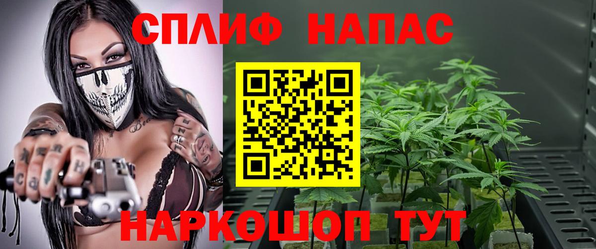 Шишки марихуана OG Kush  Бошки марихуана планчик  Бошки марихуана индика  Элиста  Вход с VPN 